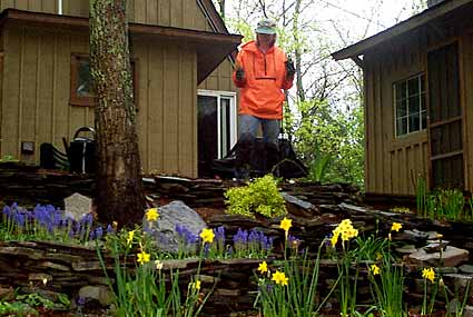 Beate and Flowers