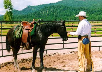 The horse trusts Paul