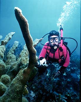 Holly underwater