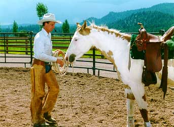 The horse trusts Paul